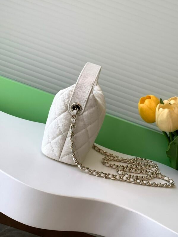 CHL 25C lunch box bag 19bag AP4386 21.5cm