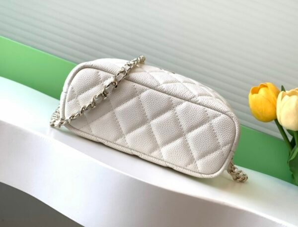 CHL 25C lunch box bag 19bag AP4386 21.5cm