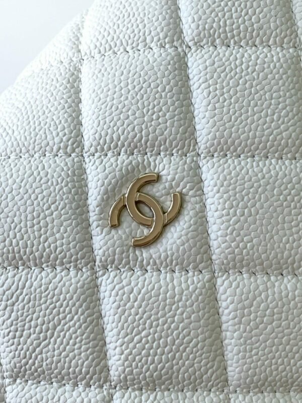 CHL 25C lunch box bag 19bag AP4386 21.5cm