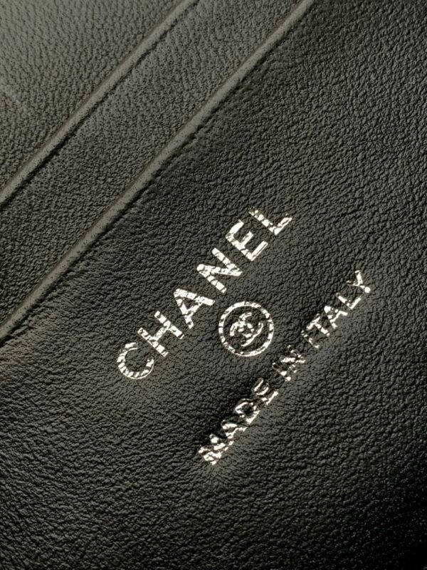 CHL 25C lunch box bag AP4407 19.5cm