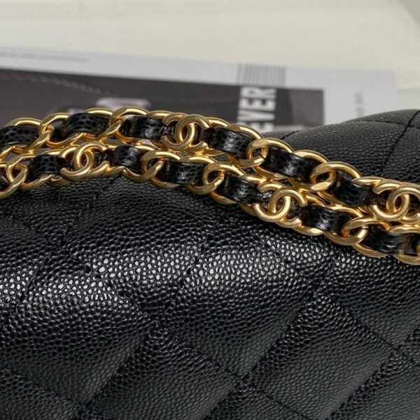 CHL 25P Double Chain CF Series AS 5239 18cm