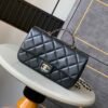 CHL OHANEL 25P CF pearl bag inlaid with diamond handle large mini 23.5cm 5368