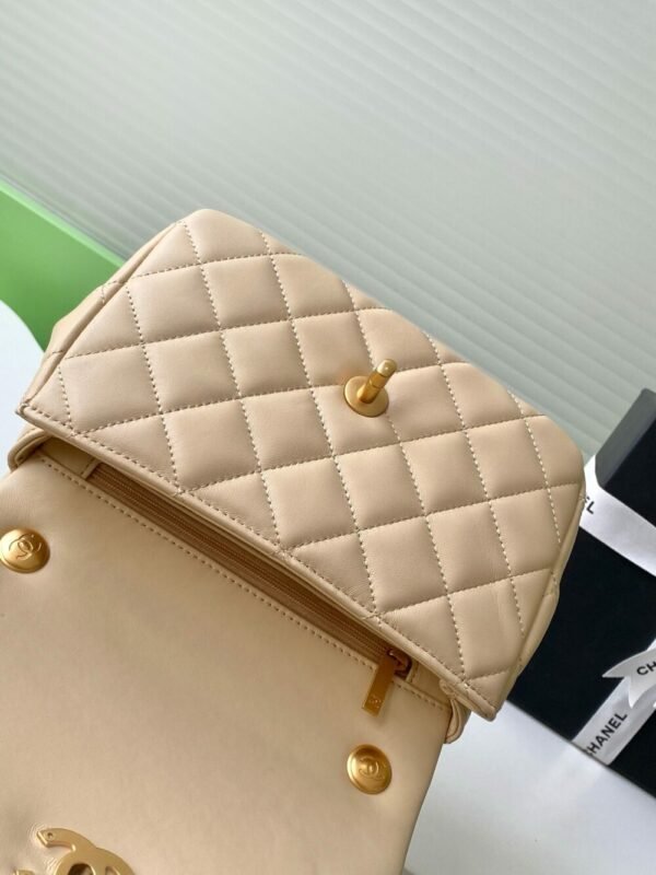 CHL 25p Camellia Pearl Fatty AS5253 22cm