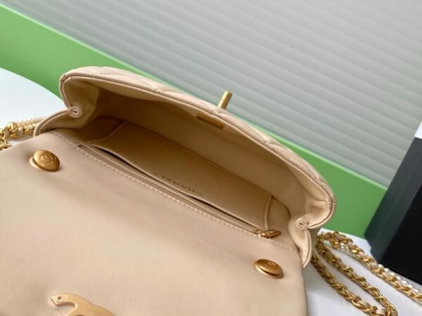 CHL 25p Camellia Pearl Fatty AS5253 22cm