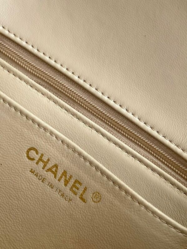 CHL 25p Camellia Pearl Fatty AS5253 22cm