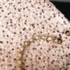 CHL 24k sequin logo beaded bag autumn and winter 20cm cf