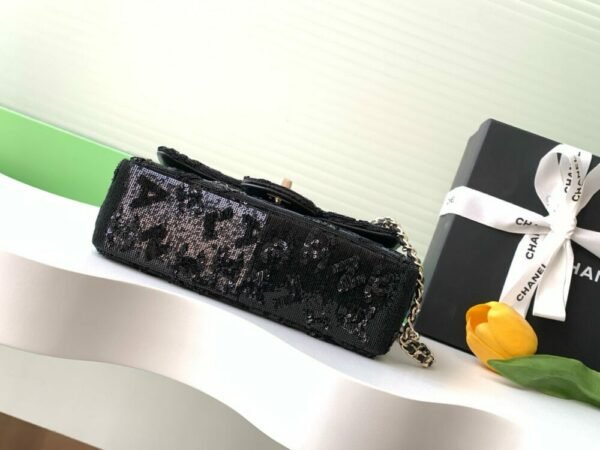 CHL 24 sequins cf A69900 20cm