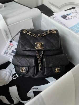 CHL 23P Double Backpack AS3787 17.5cm