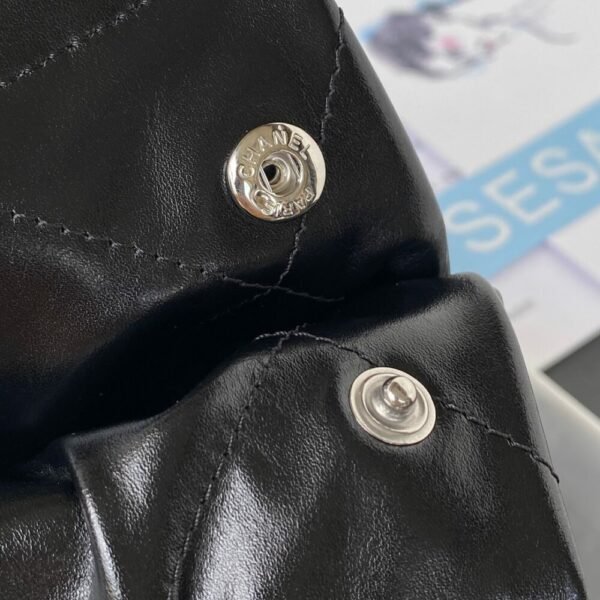 CHL 22S Spring/Summer 22bag Shopping Bag AS3260 37cm