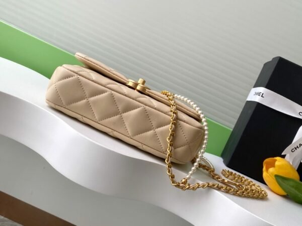 CHL 25P Camellia Pearl AS5253 22cm