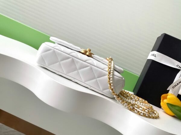 CHL 25P Camellia Pearl AS5253 22cm