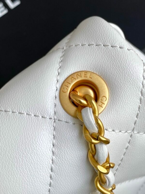 CHL 25P Camellia Pearl AS5253 22cm