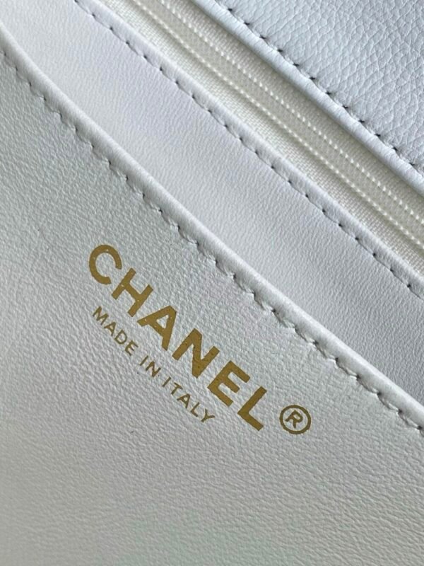 CHL 25P Camellia Pearl AS5253 22cm