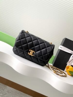 CHL 25P Camellia Pearl AS5253 22cm