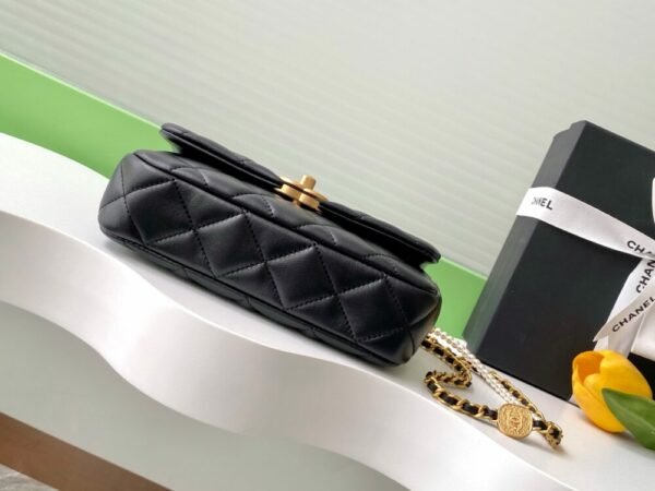 CHL 25P Camellia Pearl AS5253 22cm