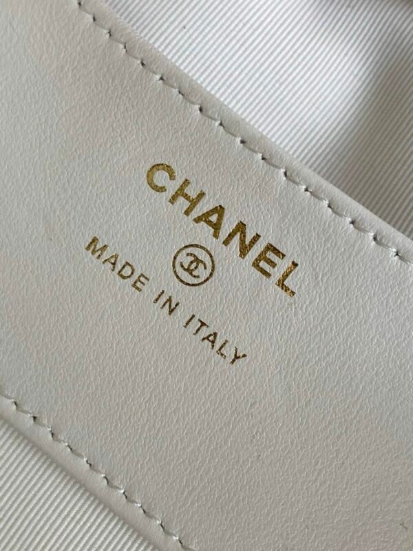 wsxc1743022372459_8 CHL 23B Hoop AP3467 16cm