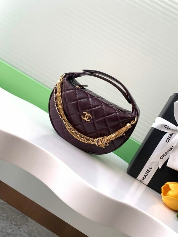 wsxc1743022378594_0 CHL 24a Hoop AP4058 19cm