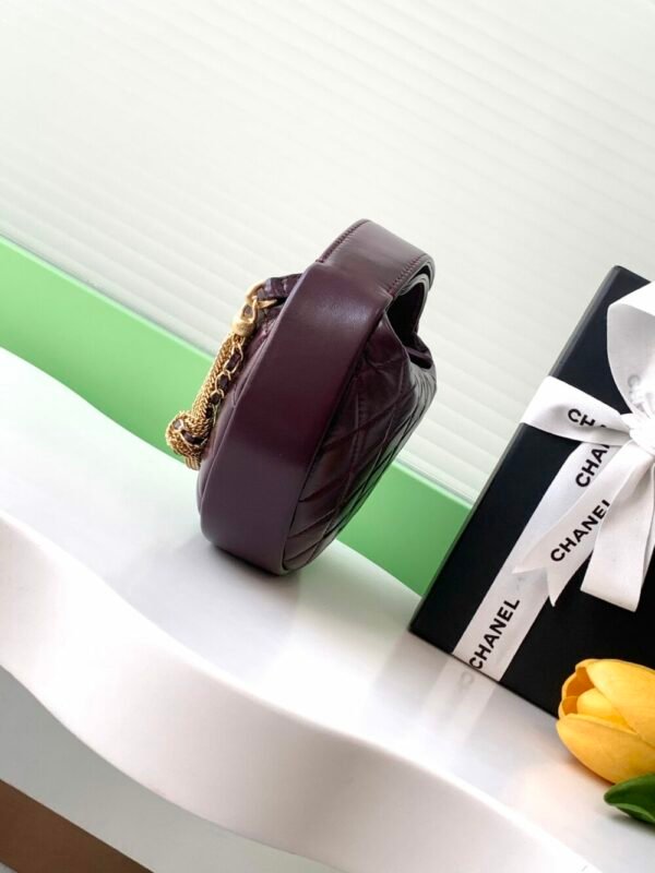 wsxc1743022378594_1 CHL 24a Hoop AP4058 19cm