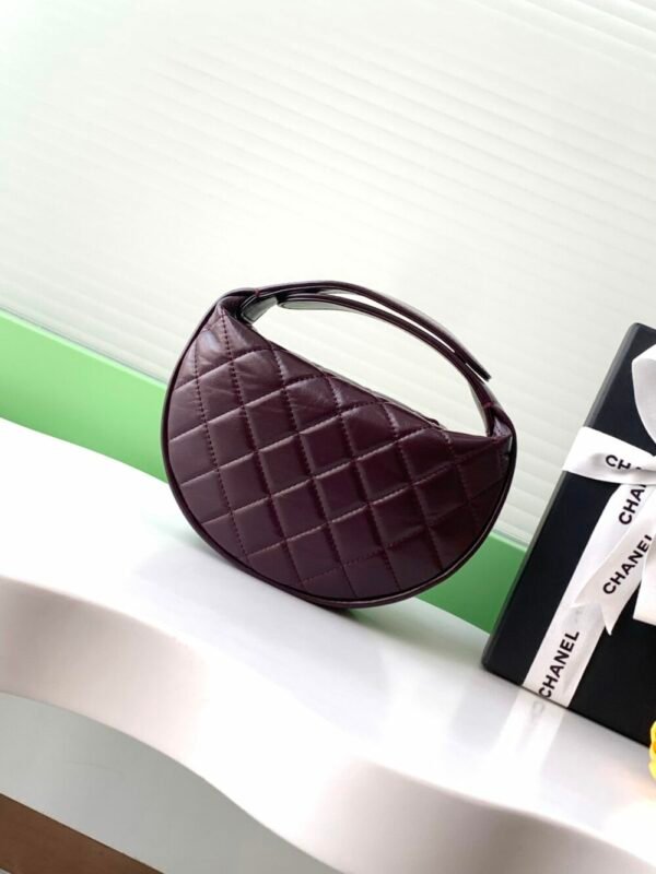 wsxc1743022378594_2 CHL 24a Hoop AP4058 19cm