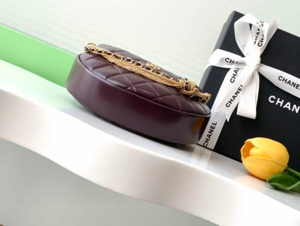 wsxc1743022378594_3 CHL 24a Hoop AP4058 19cm