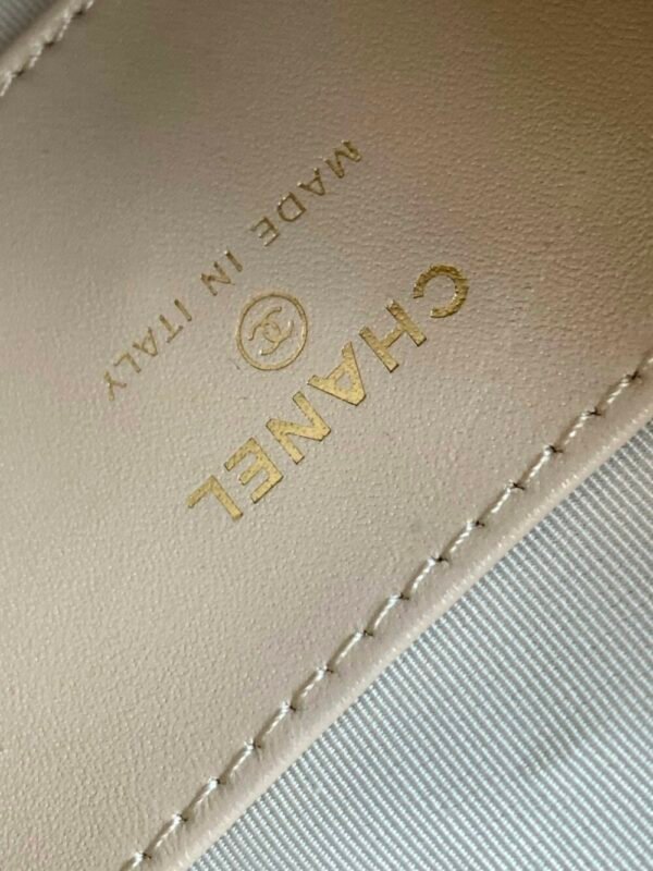 wsxc1743022378594_8 CHL 24a Hoop AP4058 19cm