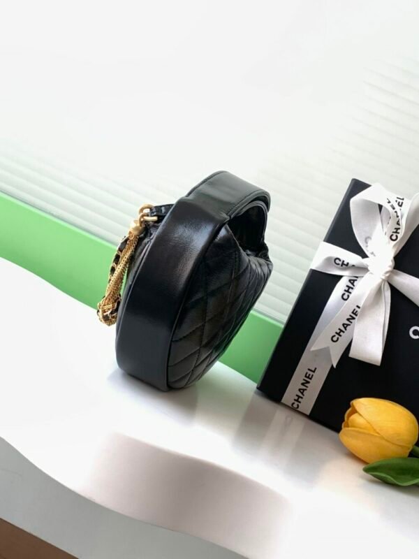 wsxc1743022394806_1 CHL 24a Hoop AP4058 19cm