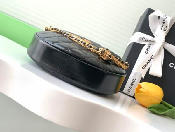 wsxc1743022394806_3 CHL 24a Hoop AP4058 19cm