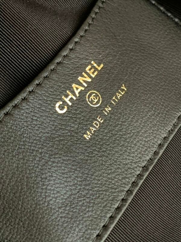 wsxc1743022809191_8 CHL 23C Early Spring Hoop AP3095 16cm