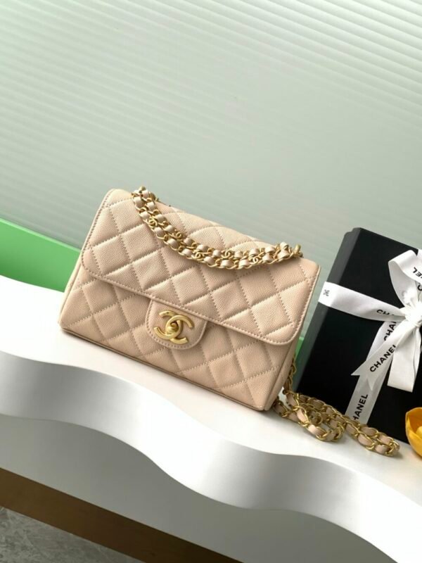 CHL 24C  cf Double chain caviar AS5240 22cm