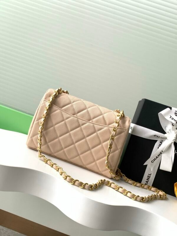 CHL 24C  cf Double chain caviar AS5240 22cm