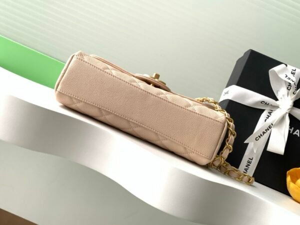 CHL 24C  cf Double chain caviar AS5240 22cm