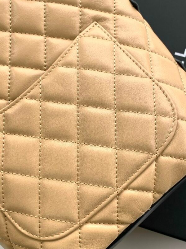 wsxc1743076029871_6 CHL Panda basket bag double C logo handbag AS6335 20cm