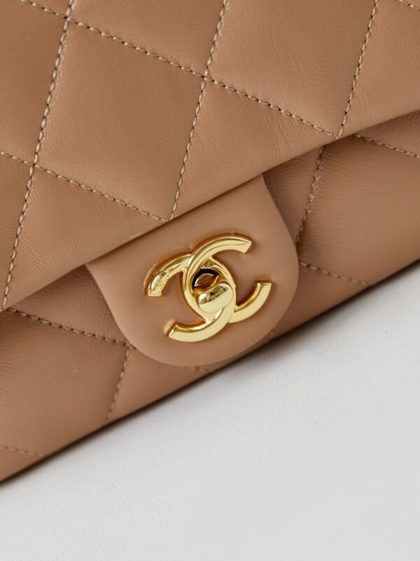 wsxc1743078574683_1 CHL 24b black gold chain handle AS5032 19cm