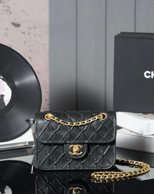 wsxc1743080809513_0 CHL 25c Early Spring Catwalk Hand-woven CF 20cm