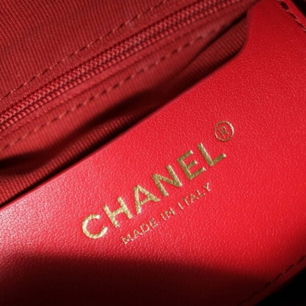 CHL 24N Red Houndstooth Crossbody Bag Ski Series AS5302 30cm