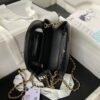 CHL handbags from the Fall/Winter 2023/24 collection AS4416 19cm