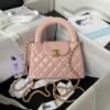 CHL handbags from the Fall/Winter 2023/24 collection AS4416 19cm