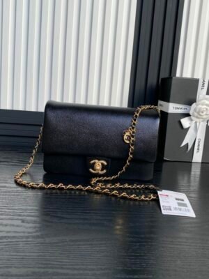 CHL 24k retro style 23cm