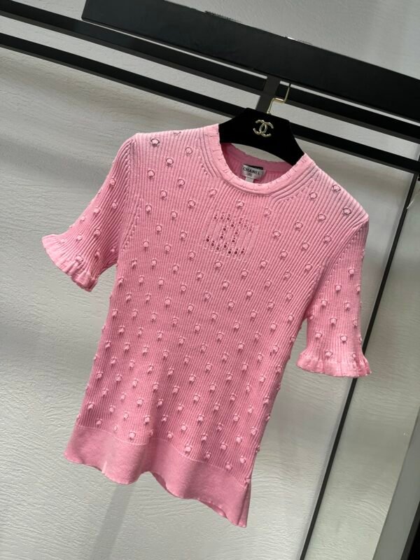 wsxc1743792811975_1 Luxury Designer Fashion Women's Short Sleeve Tops T-Shirts-138