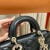 DIO lady DI luxury for women Dior D-Joy bag lambskin 22cm