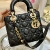 DIO lady DI luxury for women Princess Diana Bag 27cm