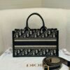 DIO lady DI luxury for women tote bag 27cm