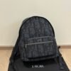 DIO lady DI luxury for women Oblique canvas backpack 30cm
