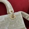 DIO lady DI luxury for women handbag tote bag lady 24cm