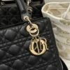DIO lady DI luxury for women handbag tote bag lady 24cm