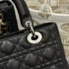 DIO lady DI luxury for women handbag tote bag lady 24cm