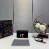 DIO lady DI luxury for women handbag shoulder bag Caro bag 20cm