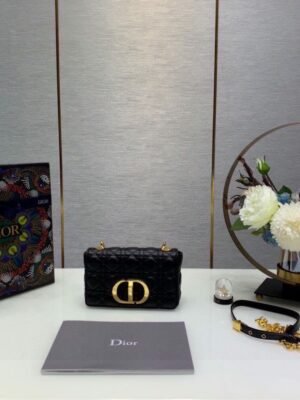 DIO lady DI luxury for women handbag shoulder bag Caro bag 20cm