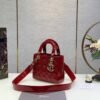 DIO lady DI luxury for women handbag shoulder bag lady Diana bag 20cm