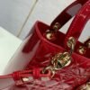 DIO lady DI luxury for women handbag shoulder bag lady Diana bag 20cm